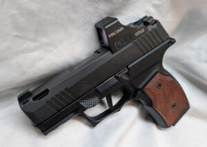 Custom Sig Sauer P365X Pistol (Store Demo) - Image 2