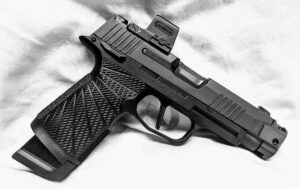 Custom Sig Sauer P365XL Pistol - WC - Image 2