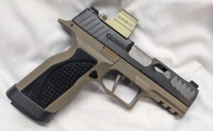 Custom Sig Sauer P365 XMacro Pistol-ECM R11-Norsso - Image 5