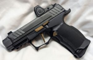 Custom P365X Pistol-Icarus Lower, Radian RamJet