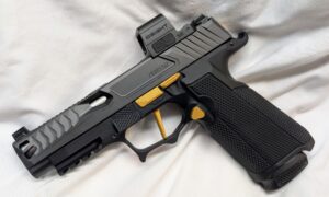 Custom P365 Fuse Pistol-Icarus 311 Lower, Norsso Upper