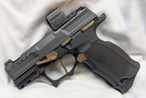 Custom P365 X Pistol-Icarus Lower, Norsso Upper, with Ported Barrel
