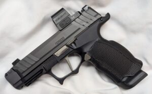 Custom P365X Pistol - Icarus Lower, Radian RamJet with Silver Controls