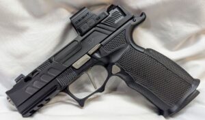 Custom P365 XMacro Pistol, Icarus ACE Grip - FDEZ Werx Ported Upper